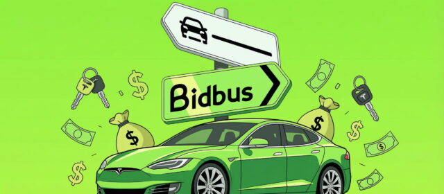 Marketplace Bidbus per auto usate