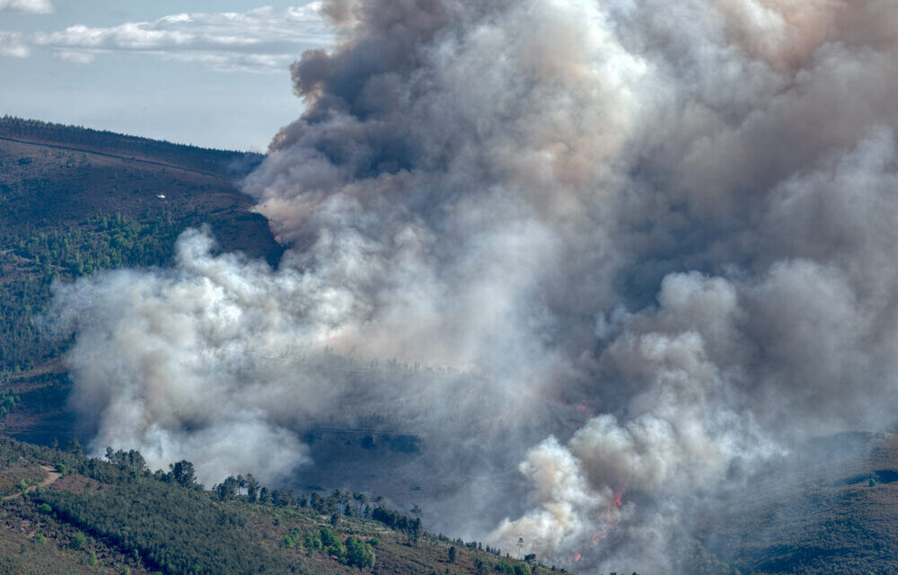 Incendio boschivo in Gironda