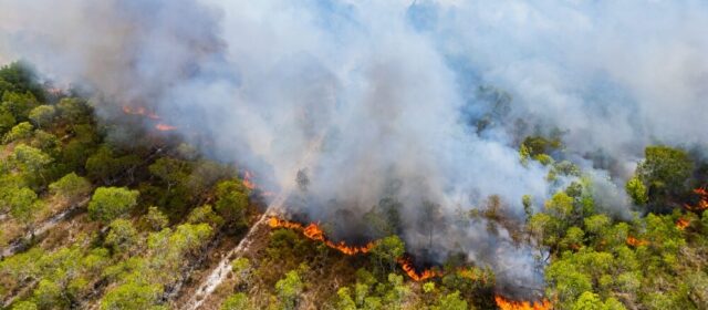 Incendi boschivi in Italia