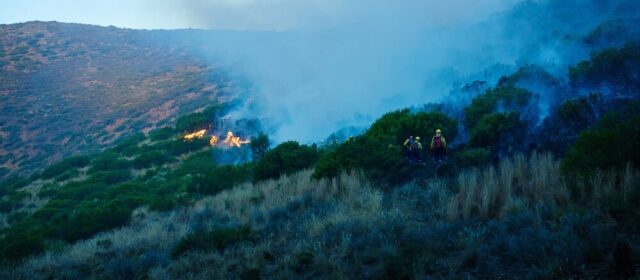 Intervento dei Vigili del Fuoco in Sicilia per incendi