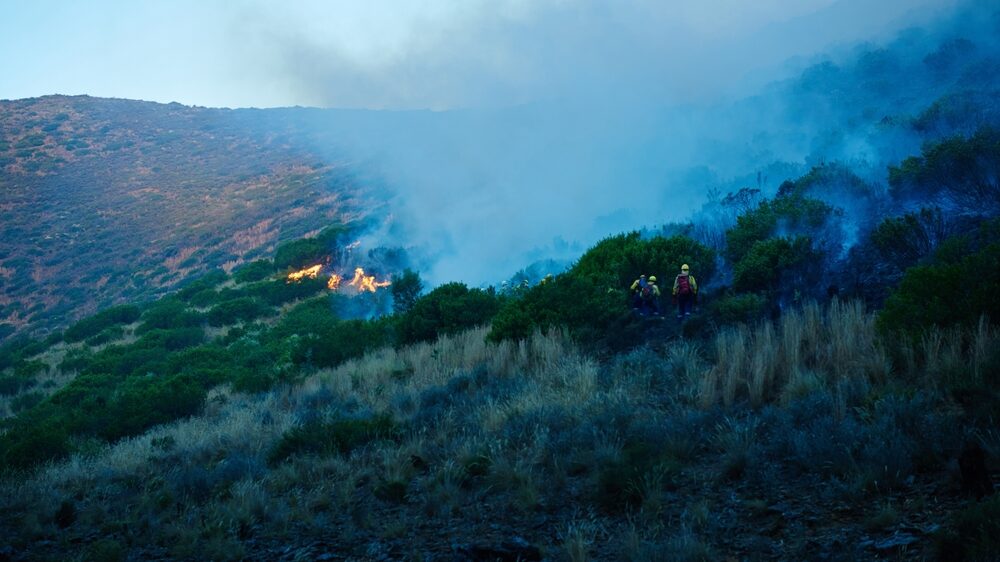 Intervento dei Vigili del Fuoco in Sicilia per incendi