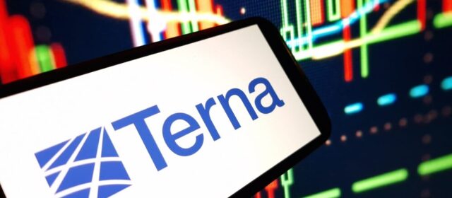 Logo di Terna