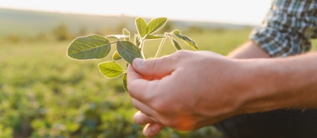 Investimento del fondo Linfa in VINHOOD