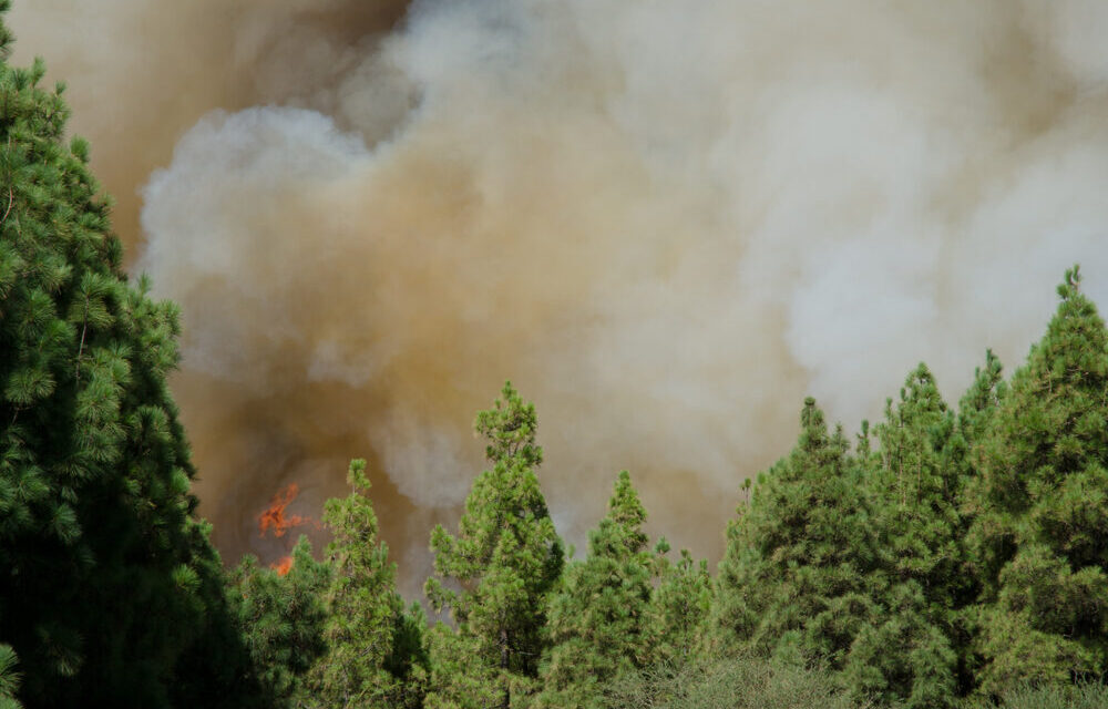Incendi nella Gironda, Francia
