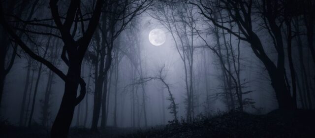 Silent Hill: Townfall - Immersione e stealth