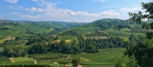 Sacchi Beer Fest a Cuneo