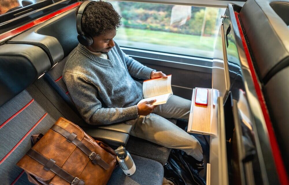 Trasporto pubblico locale in Italia